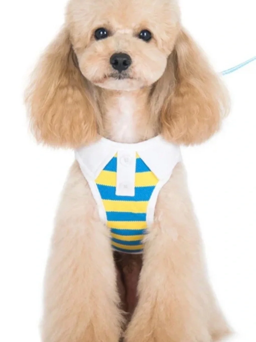 Doggie Stripes Orange & Yellow Dog Harness with Matching Leash Medium
